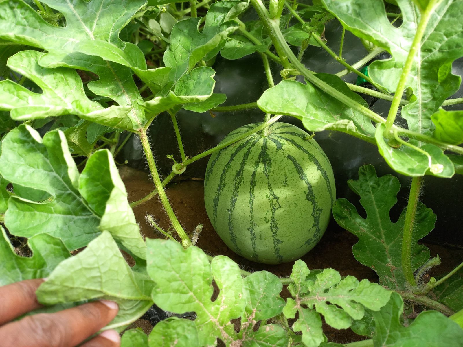 blog image